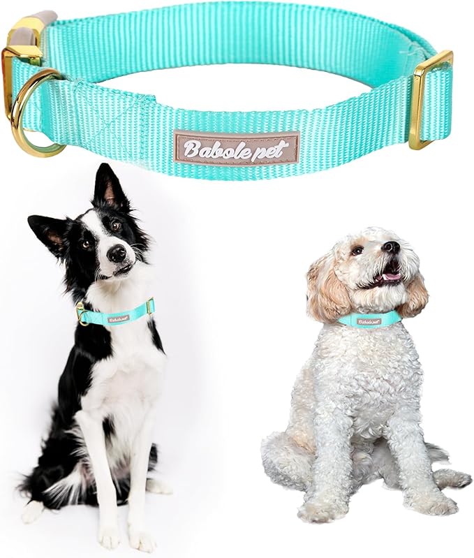 Nylon Dog Collar - Adjustable Lake Blue Soft Webbing Dog Collars for Small Medium Large Dogs Boy Girl Puppy Collar with Safety Metal Buckle L