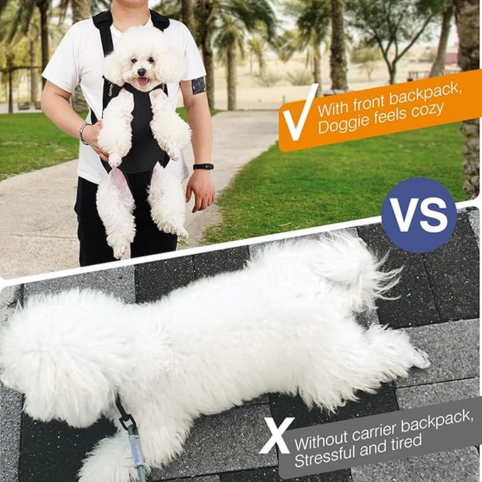 Lightweight Pet Backpack Carrier for Small Dogs & Cats - Easy-Fit Adjustable Straps, Basic Legs-Out Design, Durable for Daily Use (Fits Pets Under 15lb) (Yellow-Blue Color-Blocked, Medium)