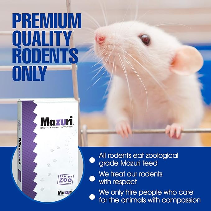MiceDirect EST. 2003 30 Frozen Rat Combo Pack 15 Rat Fuzzies and 15 Pup Feeders Snake Food for Baby Ball Pythons and Boas (2-3.5 in)(435 Grams Min)