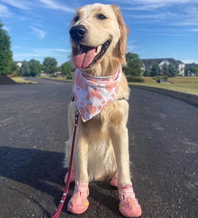 QUMY Dog Shoes for Large Dogs, Medium Dog Boots & Paw Protectors for Winter Snowy Day, Summer Hot Pavement, Waterproof in Rainy Weather, Outdoor Walking, Indoor Hardfloors Anti Slip Sole Pink 7