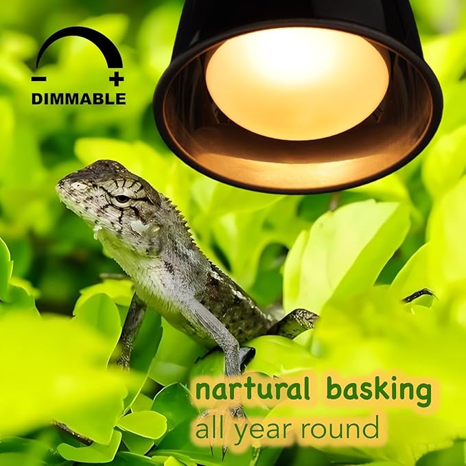 Reptile Heat Lamp Bulbs, 2-Pack 75W Daylight Basking Spot, 2024 G3, Bearded Dragon/Turtle/Lzard/Gecko Light Bulb, UVA Heat Lamp, Basking Light for Reptiles