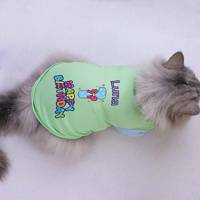 Custom Dog Birthday Shirt,Personalized Pet Apparel Print with Name Age Number,Pet Birthday Outfit,Lightweight Breathable Cotton Vest for Small Medium Large Dogs Cat (Dopamine Blue, Small)