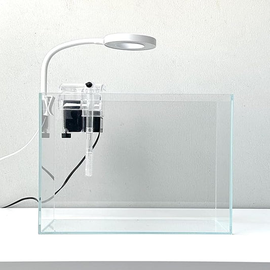 Nano Aquarium kit, Small Betta Fish Aquarium, 2.2 Gallon Rimless Glass Fish Tank with Filter and Light (Transparent, Essential)