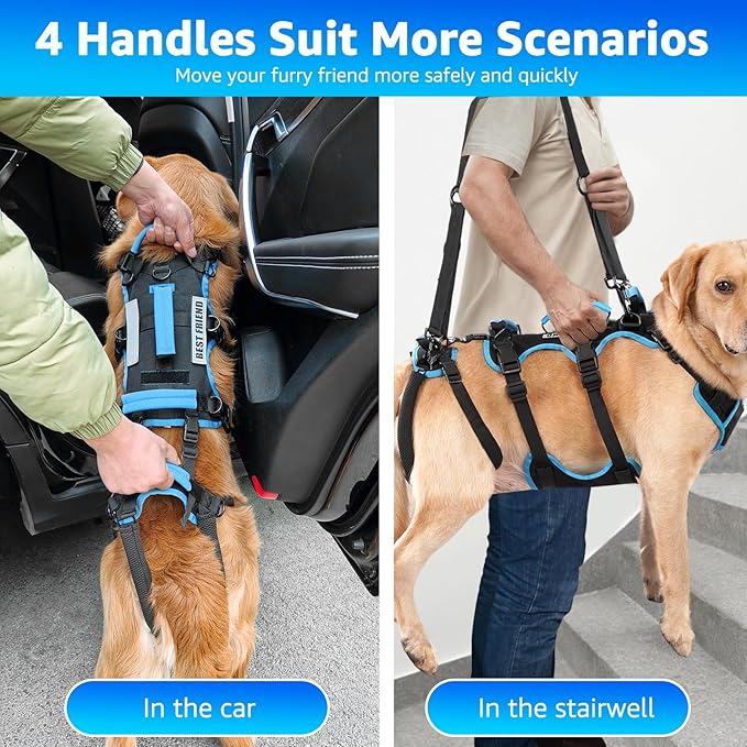 Dog Lift Harness for Medium Male Dogs Friendly, 2 in 1 Detachable Support Harness, Full Body Dog Carrying with 4 Handles for Old/Disabled/Joint Injuries Dogs (Black, Medium)