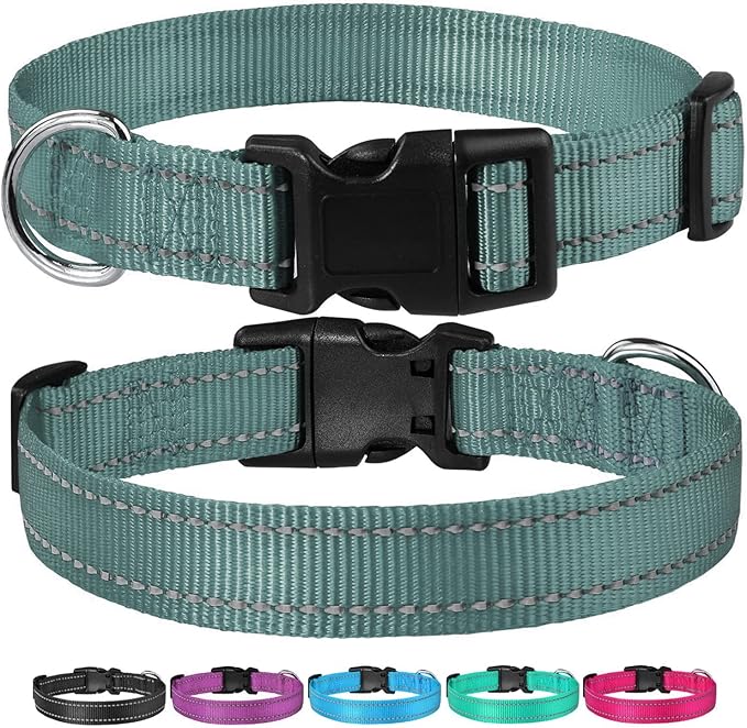 Reflective Dog Collar with Buckle Adjustable Safety Nylon Collars for Small Medium Large Dogs, Grey L