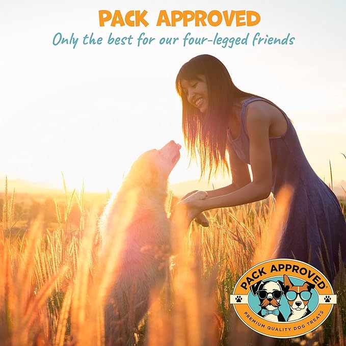 Cat & Dog Ear Cleaning Solution - Helps Remove Wax, Debris, and Dirt - Non-Stinging, Non-Burning Daily Use Formula - Cat & Dog Ear Wash for Itchy Ears - Cucumber Melon Scent (8oz)