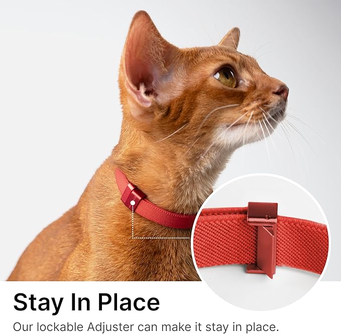 Safety Cat Collar Pro - U.S. IDA Gold Awarding Design, Elastic Quick Release Cat Collar with Buckle Non Breakaway - Lightweight for Kitten All Small Large Cats (Sierra Blue, M 7.9-15.7")
