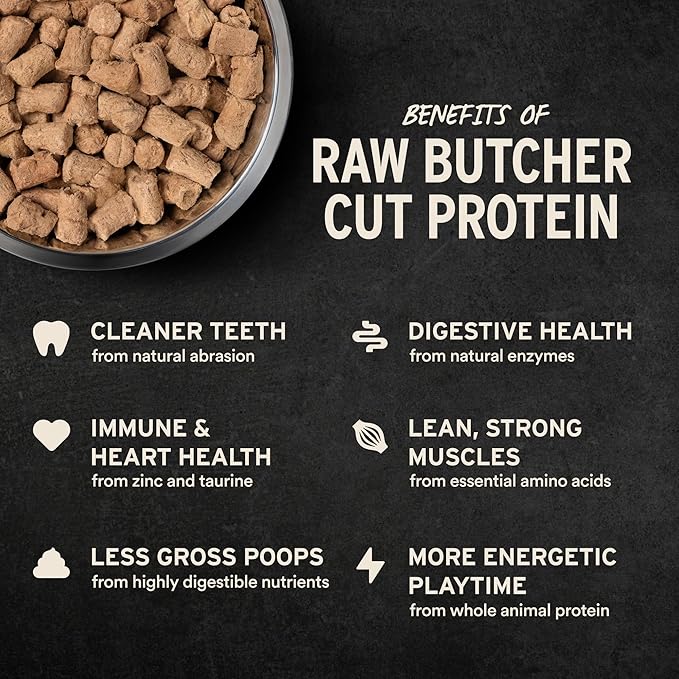 Vital Essentials Freeze-Dried Raw Beef & Salmon Meal or Mixer Dog Food Soft Nibs | 99% Beef, Salmon, Organs & Bone | 3 lbs Big Bag