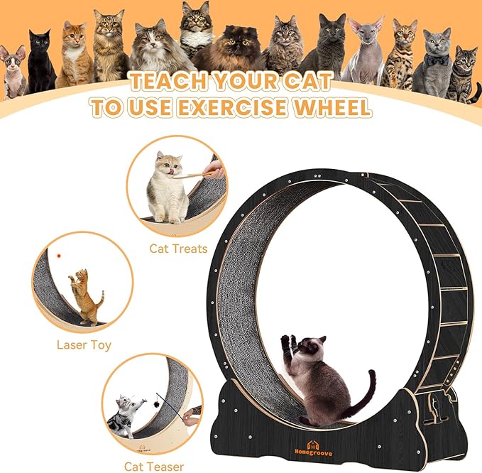 Homegroove Cat Wheels for Indoor Cats, 46 inch Large Cat Exercise Running Treadmill Wheel with Carpeted Runway for Kitty’s Longer Life, Black(XL)