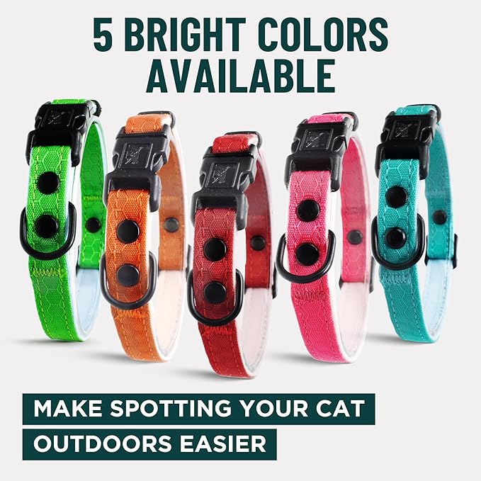 OutdoorBengal Pink Breakaway Kitten Collar - Ultra Safe Quick Release Cat Collar for Small Kittens Under 6 Months – Soft-Padded, Lightweight, Adjustable, Thin and Comfortable, No Bell (Pink, Kitten)