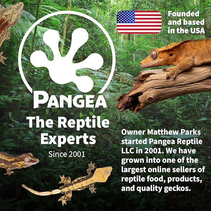 Pangea Silicone Gecko Feeding Ledge - Magnetic Mini Food Dish for Reptile Tank - 4.125" x 2.625" x 1.18" - Fits 0.5oz Cups (Black)