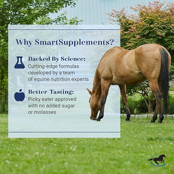 SmartDigest Ultra Paste | Digestive Health and Support Horse Supplement | Provides Prebiotics, Probiotics, Digestive Enzymes | Butterscotch Flavor | Pack of 6 Tubes