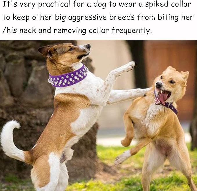 TEEMERRYCA Adjustable PU Leather Spiked Studded Dog Collars with a Squeak Ball Gift for Small Medium Large Pets Like Cats/Pit Bull/Bulldog/Pugs/Husky, Purple, M 12"-15"