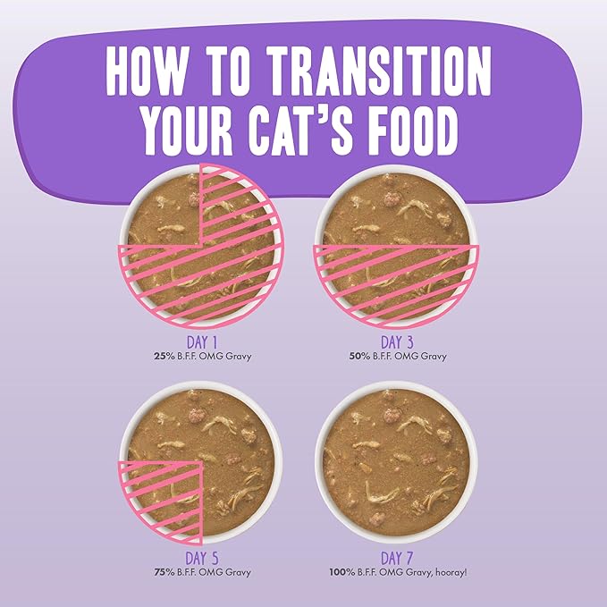 Weruva B.F.F. OMG - Best Feline Friend Oh My Gravy!, Chicken & Beef Be Happy with Chicken & Beef in Gravy, 5.5oz Can (Pack of 8)