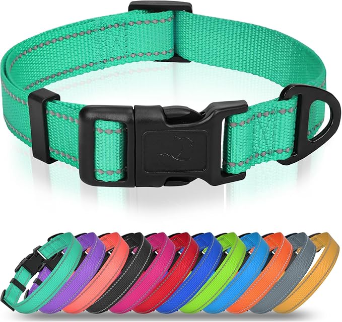 Joytale Reflective Dog Collar, Adjustable Nylon Pet Collar with Quick-Release Buckle for Medium Dogs, Teal, M