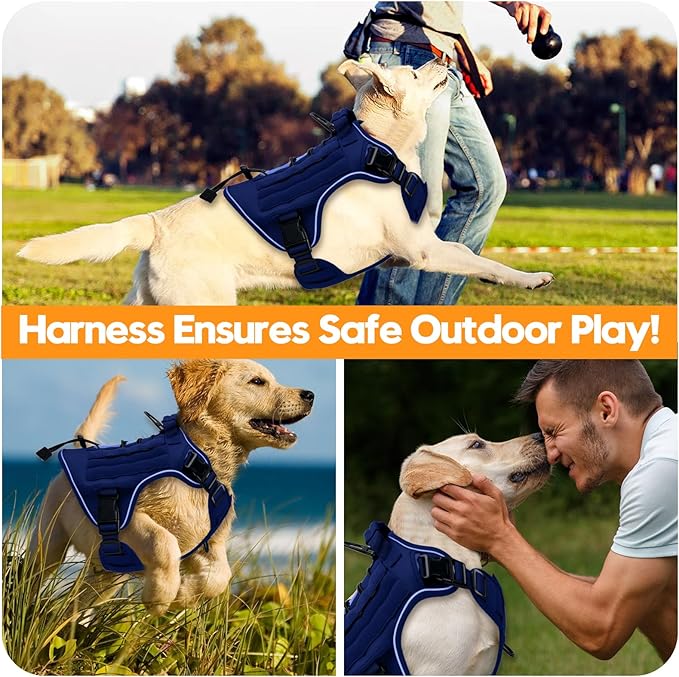Heavy-Duty Tactical Dog Harness for Large Dogs, No Pull Adjustable Reflective Pet Vest with Molle System, K9 Military-Grade Control for Service Training, Outdoor & 10+ Breeds, Dazzling Blue, Large