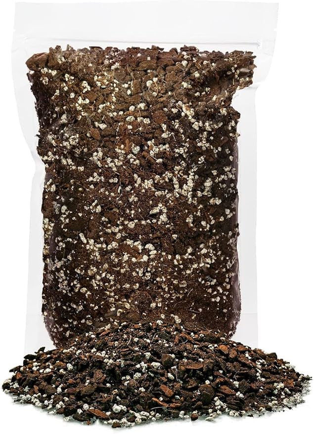 GARDENERA Expertly Formulated Monstera Obliqua Soil Mix - Strong and Healthy Roots by Gardenera - 2 Quart