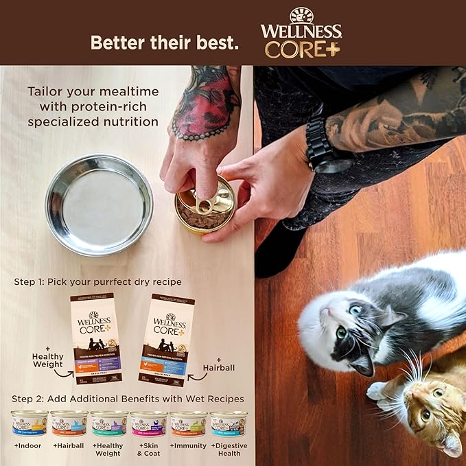 Wellness CORE+ Adult Dry Cat Food for Indoor & Outdoor Cats, Grain Free, Natural, Healthy Weight, Chicken and Chicken Meal (4.75 Pound Bag)