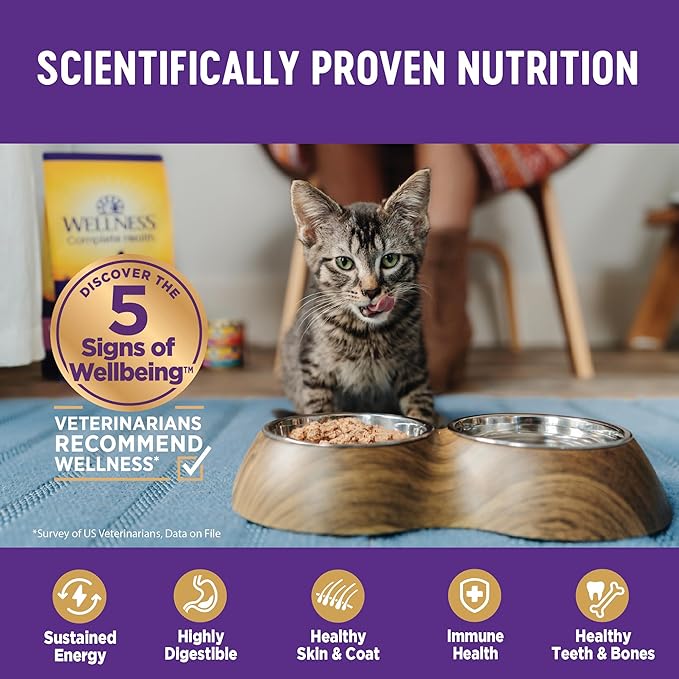 Wellness Complete Health Pate Kitten Wet Cat Food, Natural, Protein-Rich, Grain Free, 5.5 Ounce, 24 Pack, (Chicken)