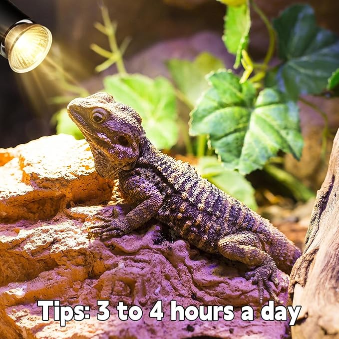 Reptile Heat Lamp, UVA UVB Heat Lamp Bulbs, E26 Turtle Heat Lamp Blubs 50W 4Pack, Basking Light for Bearded Dragon, Lizard, Snake and Frog