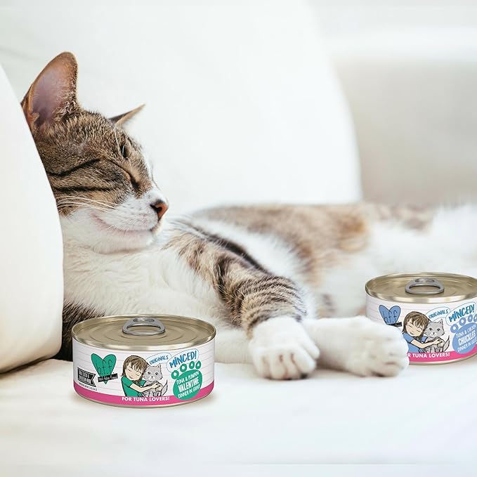 Weruva BFF Minced Natural Wet Cat Food, Tuna and Pumpkin Valentine in Gravy, 3oz Can, Pack of 24