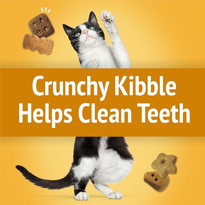 Purina Friskies Cat Treats, Party Mix Cheezy Craze Crunch - 20 oz. Pouch