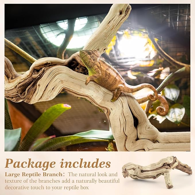 Janinka 18-20" Length Large Wood Reptile Branch for Bearded Dragon Driftwood Reptile Climbing Habitat Decoration for Terrarium Tree Trunk Ornament Gecko Frog Chameleon Spider