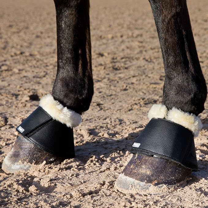HORZE Signature Bell Boots - Black - XXL