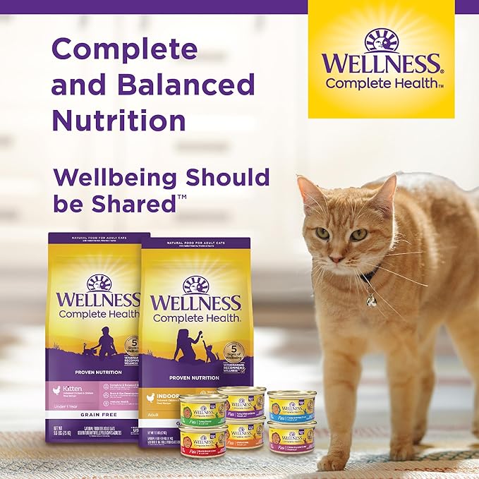 Wellness Complete Health Gravy Adult Wet Cat Food, Natural, Protein-Rich, Grain Free, 5.5 Ounce, 12 Pack, (Chicken & Tuna Dinner)