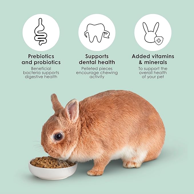 Kaytee Timothy Complete Rabbit Food, Made with Timothy Hay, High in Fiber, Supports Dental Health and Digestion, 9.5 pounds