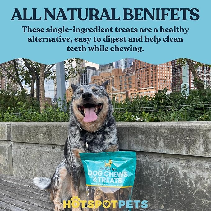 hotspot pets 10 Inch Large Rawhide Dog Bones - Made from Grass Fed Cows - Long Lasting Chews Great for Dental & Oral Care - Bones for Aggressive Chewers & Large Dogs (10 Inch - 4 Count)