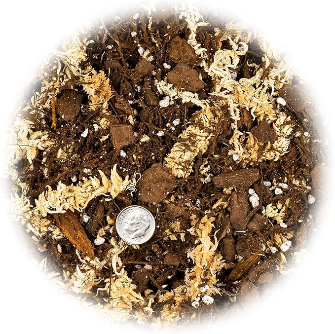Gardenera Premium Orchid Mix by GARDENERA | Fern + New Zealand Pine Bark + Sphagnum Moss + Perlite | Best for Growing and Repotting Orchids - 2 Quart Bag
