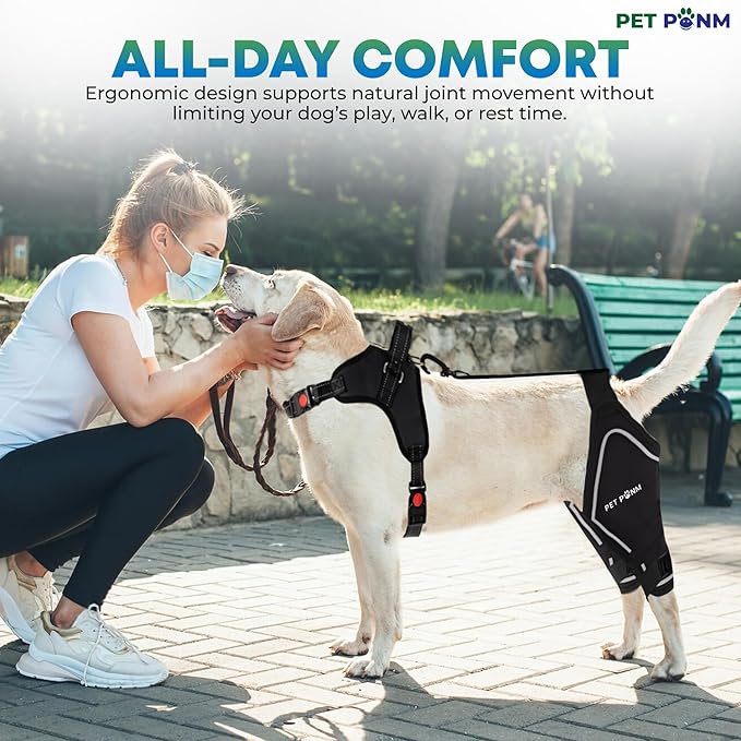 Petpanm- Adjustable Dog Knee Brace- Right Hind Leg with Integreted Harness- Premium Support for Torn ACL, Sprains & Strains Recovery, Enhances Mobility, Comfortable Neoprene. (Medium)