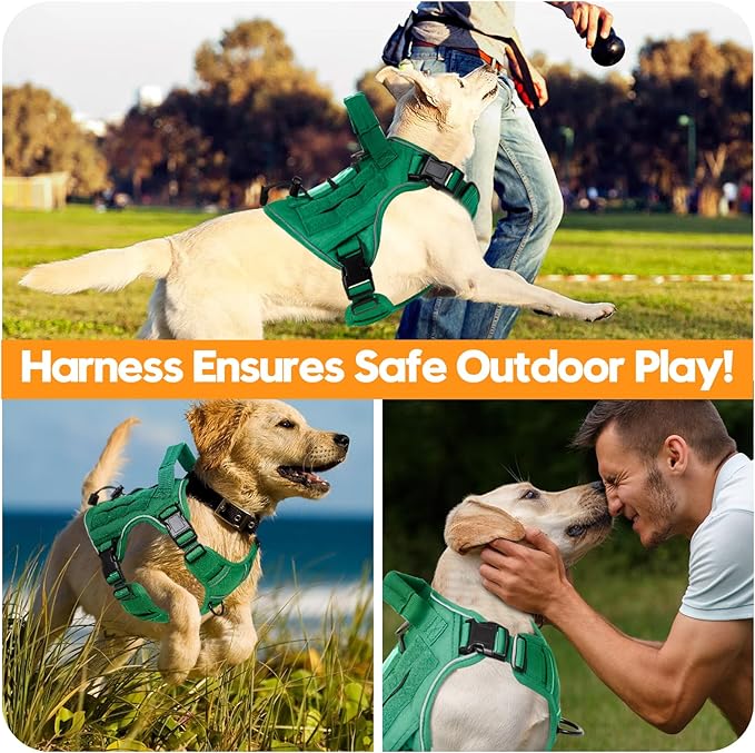 Heavy-Duty Tactical Dog Harness for Large Dogs, No Pull Adjustable Reflective Pet Vest with Molle System, K9 Military-Grade Control for Service Training, Outdoor & 10+ Breeds, Turquoise, Small