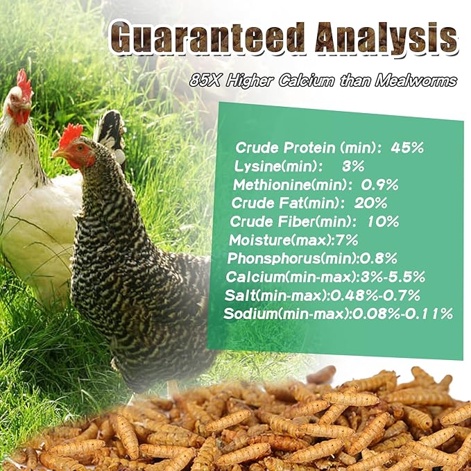 Dried Black Soldier Fly Larvae 44LBS, 85X More Calcium Than Mealworms High-Protein BSF Larvae Chicken Treats Non-GMO BSFL for Chickens, Hens, Ducks, Wild Birds
