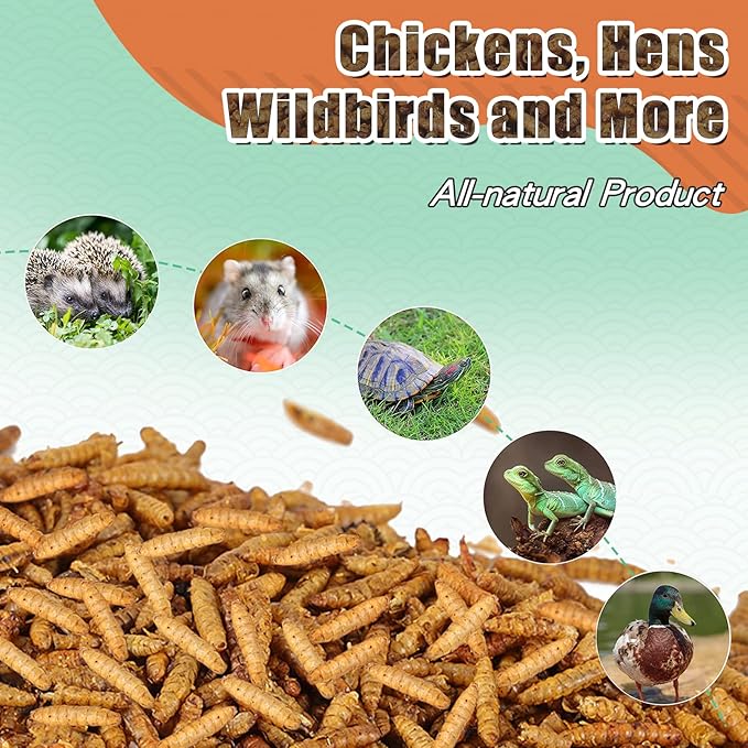 Dried Black Soldier Fly Larvae 22LBS, 85X More Calcium Than Mealworms High-Protein BSF Larvae Chicken Treats Non-GMO BSFL for Chickens, Hens, Ducks, Wild Birds