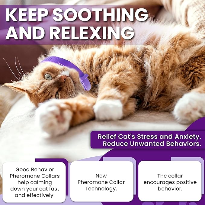 Calming Collar for Cats: Pheromone-Infused Behavior Support, Long-Lasting 30-Day Effect, Adjustable & Waterproof, 4-Pack (Purple)