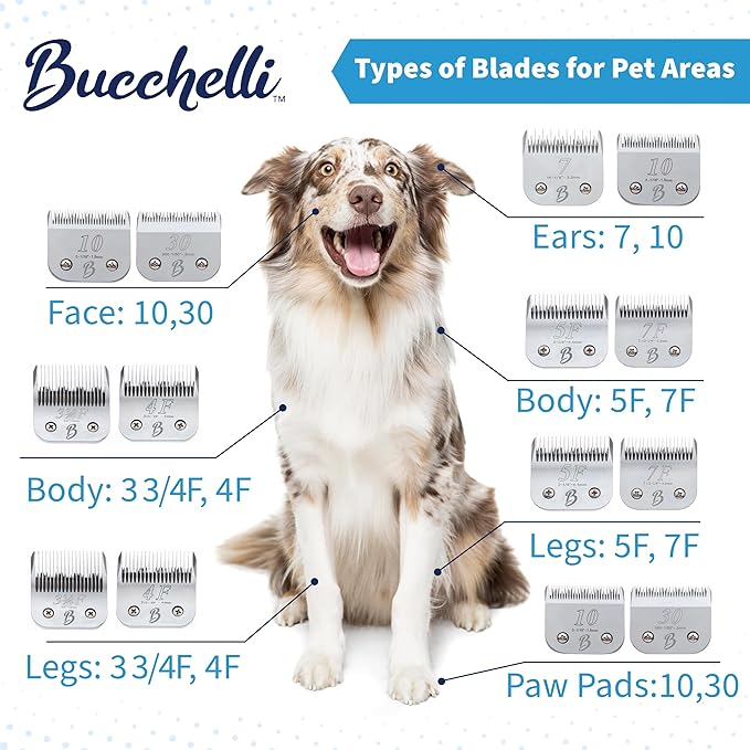 Detachable A Series 50 Blade Dog Grooming Clipper Blades Cuts Length 1/125" 0.2mm Japanese High Carbon Steel Dog Grooming Clipper Replacement Blade 50 | Compatible A5 Series(B50)