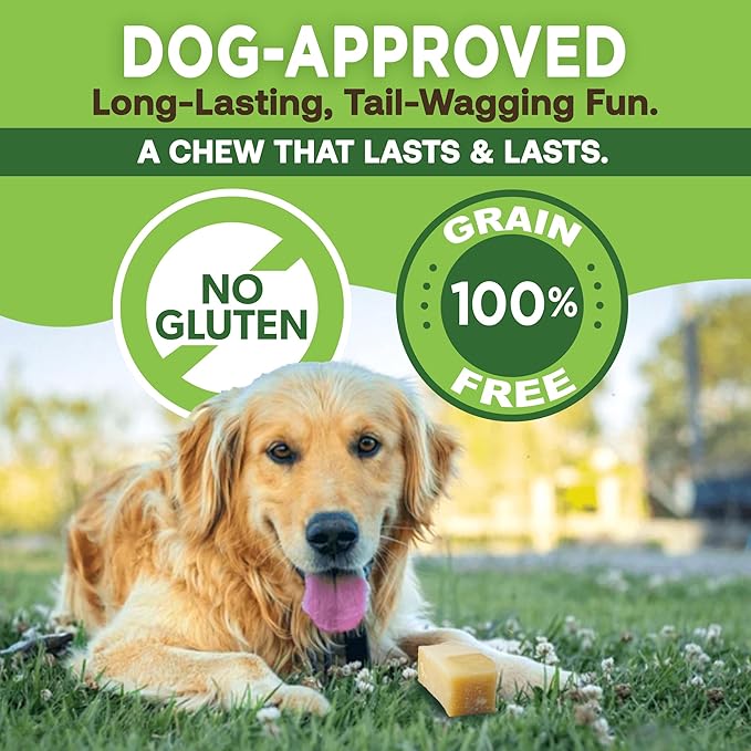 EcoKind Premium Gold Yak Cheese Himalayan Dog Chews, Dog Treats Large Breed, All Natural, High Protein, for Aggressive Chewers, Large - 1 Chew