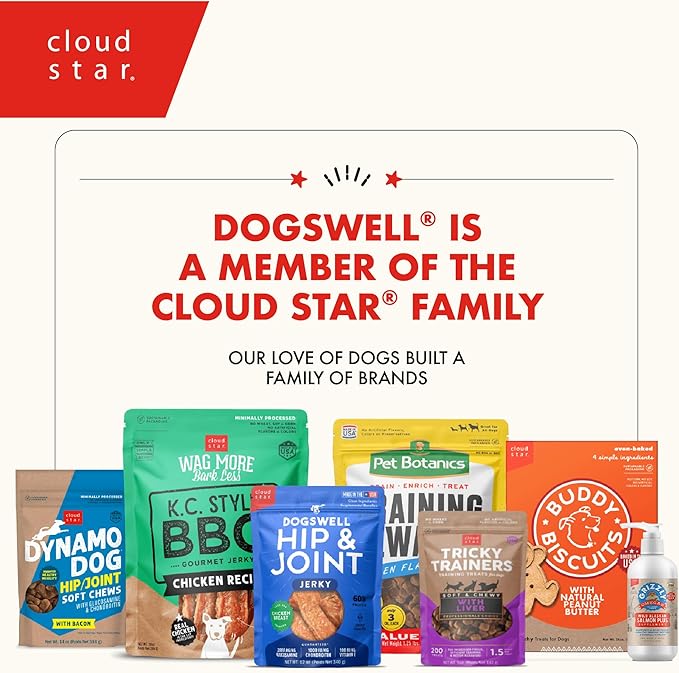 DOGSWELL Jerky Treats for Dogs, Skin and Coat Salmon Recipe 18 oz., 29235