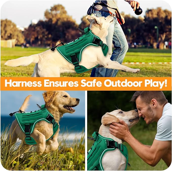 Heavy-Duty Tactical Dog Harness for Large Dogs, No Pull Adjustable Reflective Pet Vest with Molle System, K9 Military-Grade Control for Service Training, Outdoor & 10+ Breeds, Turquoise, X-Large