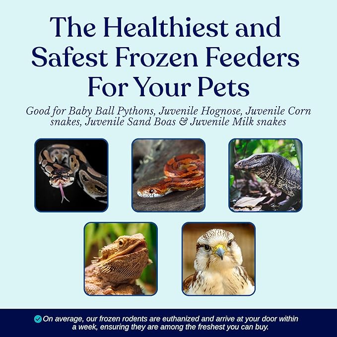 MiceDirect 40 Frozen Rat Fuzzies Feeders Snake Food for Adult Corn Snakes Ball Pythons (2-2.5 in)(360 Grams Min)(40 Count)