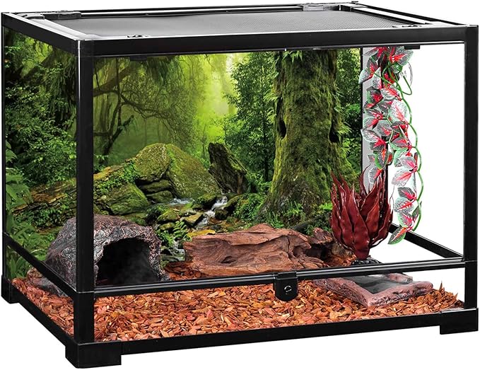 AWERT Tropical Forest Terrarium Background Stream Green Huge Tree Reptile Habitat Background Foggy Rainforest Aquarium Background 72x24 inches Durable Polyester Background