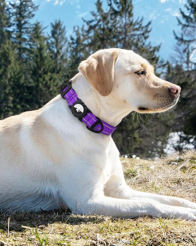 Joytale Airtag Dog Collar, Reflective Pet Collar with Waterproof AirTag Holder, Dual D-Rings, Soft Padded Adjustable for Large Dogs, Purple, L