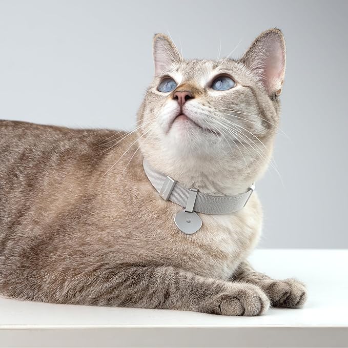Safety Cat Collar Pro and Tag Set - U.S. IDA Gold Award, Elastic Release Cat Collar Charm Tag, Non Breakaway Cat Collar Adjustable with Charm for Kitten Small Large Cats (Blush Pink, S)