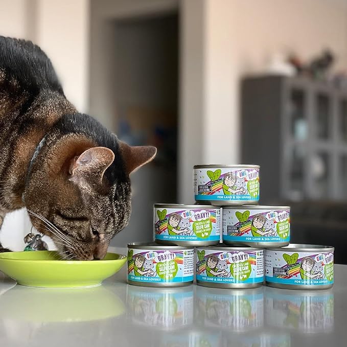 Weruva B.F.F. OMG - Best Feline Friend Oh My Gravy!, Chicken & Duck Dream Team with Chicken & Duck in Gravy, 2.8oz Can (Pack of 12)