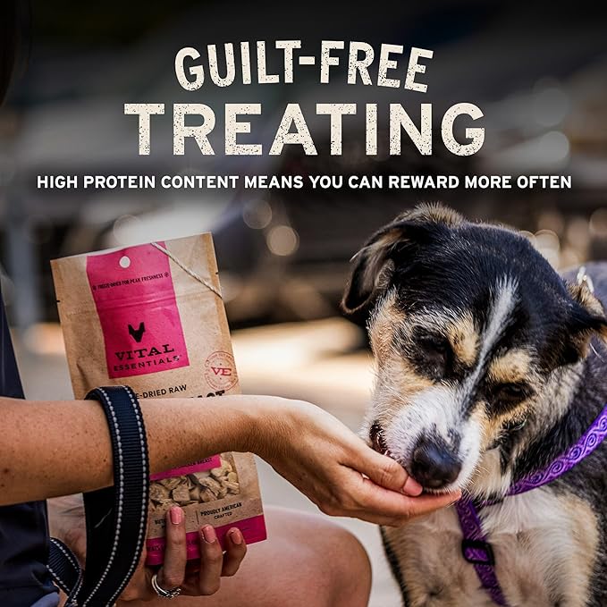 Vital Essentials Single Ingredient Chicken Breast Dog Treats, 3.75 oz | Freeze-Dried Raw | Premium Quality High Protein Training Treats | Grain Free, Gluten Free, Filler Free