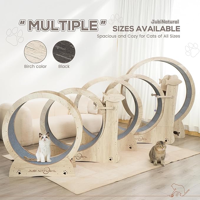 Cat Exercise Wheel, 50" Cat Running Wheel for Indoor Cats with Locking Mechanism, Cats Treadmill Wheels with Quiet Carpeted Runway, Cat's Weight Loss and Health - Black