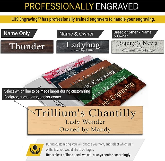 Personalized Horse Stall Name Plates, 2x12 Horse Stall Signs with Adhesive, All Weather UV Protected, White Plastic Black Letters - Made in USA - B16