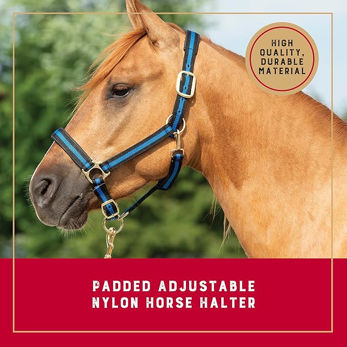 Weaver Leather Nylon Horse Halter, Padded and Adjustable, Chin and Throat Snap Hook Halters for Horses, Brass Plated Halters for Training